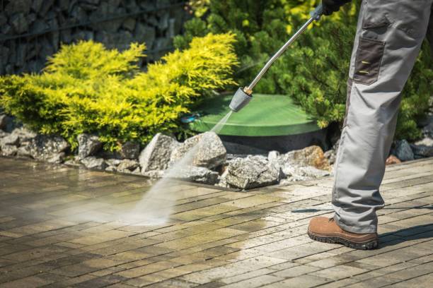 Best Sidewalk and Walkway Cleaning  in Inwood, WV